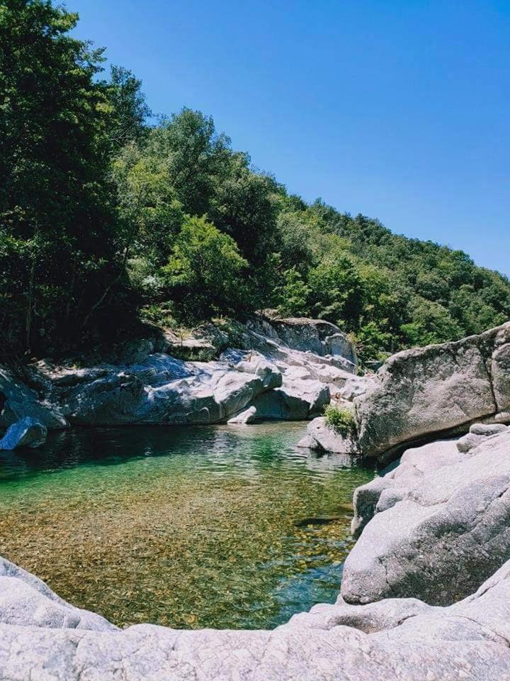 Suite Bambou Bien-Etre A Bali - Le Soleil Des Cevennes Saint-Jean-du-Gard Bagian luar foto
