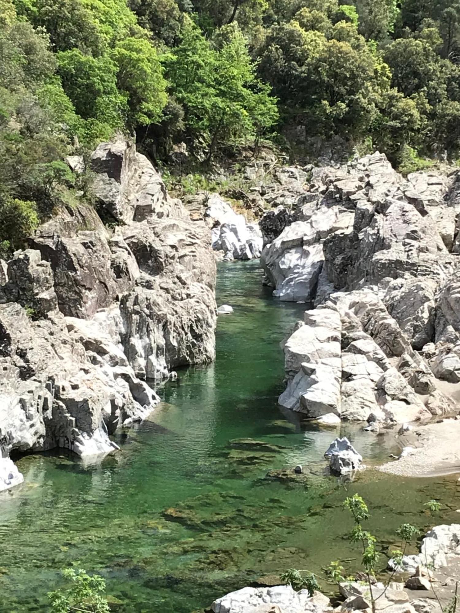 Suite Bambou Bien-Etre A Bali - Le Soleil Des Cevennes Saint-Jean-du-Gard Bagian luar foto